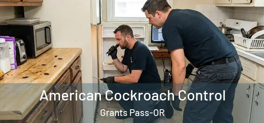  American Cockroach Control Grants Pass-OR