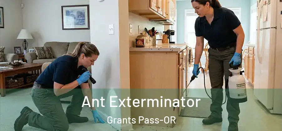 Ant Exterminator Grants Pass-OR