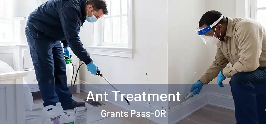 Ant Treatment Grants Pass-OR