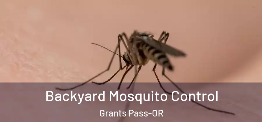 Backyard Mosquito Control Grants Pass-OR