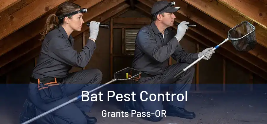  Bat Pest Control Grants Pass-OR