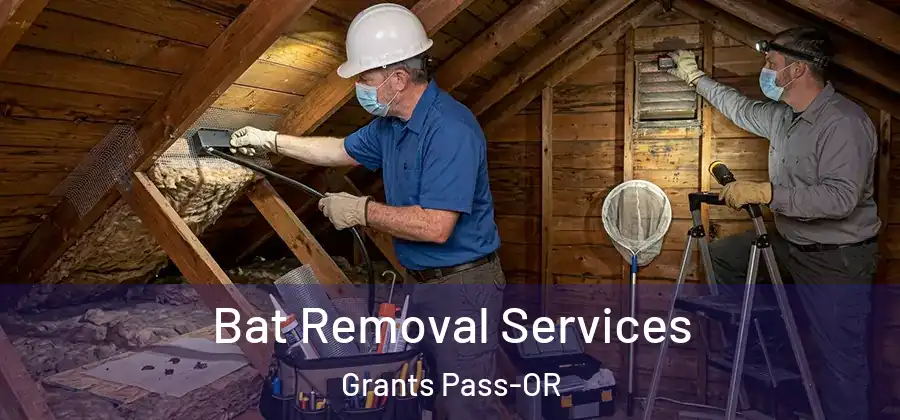  Bat Removal Services Grants Pass-OR