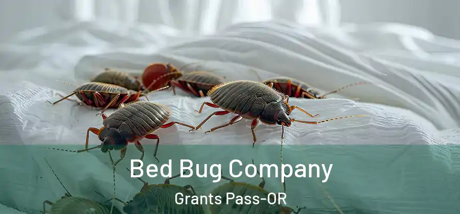 Bed Bug Company Grants Pass-OR