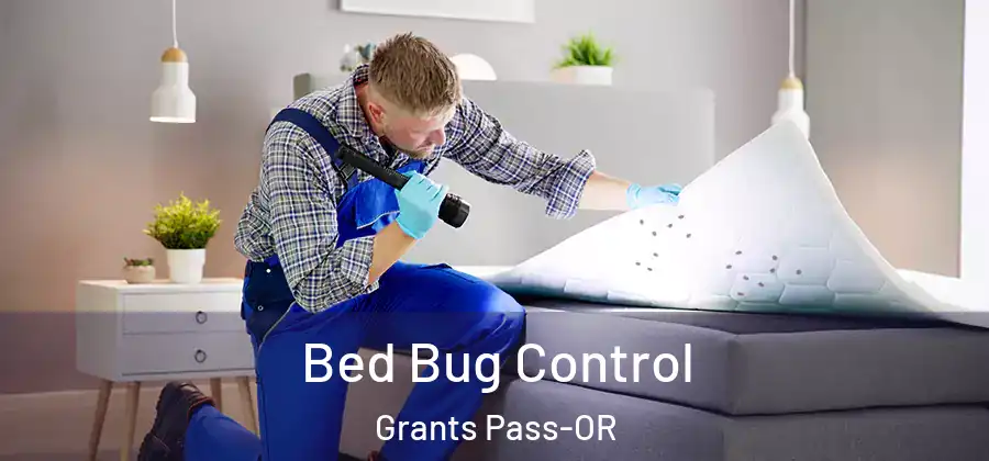  Bed Bug Control Grants Pass-OR