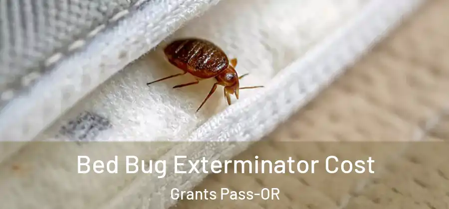 Bed Bug Exterminator Cost Grants Pass-OR