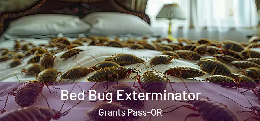 Bed Bug Exterminator Grants Pass-OR