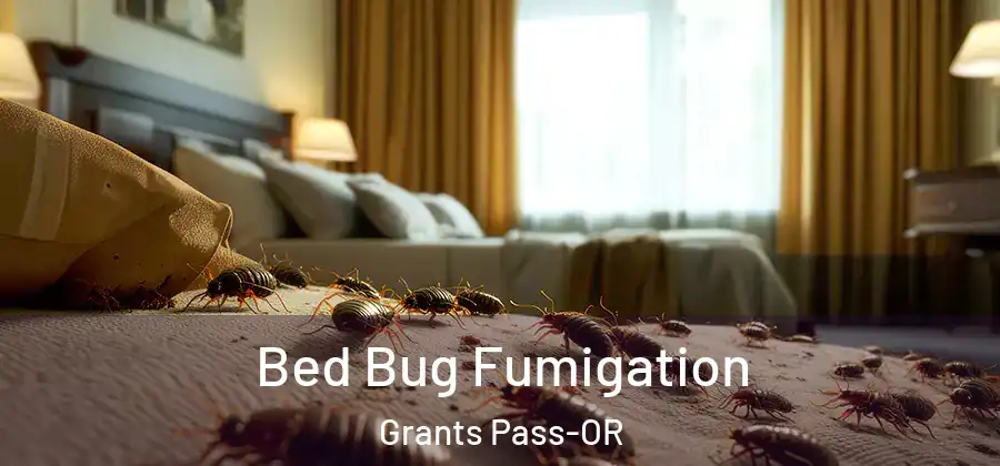Bed Bug Fumigation Grants Pass-OR