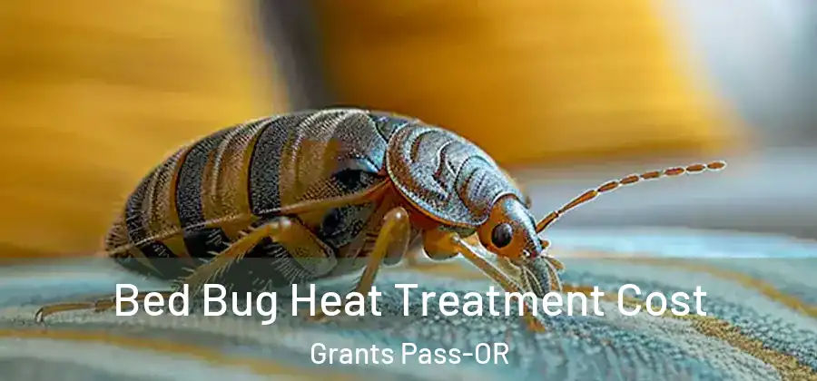  Bed Bug Heat Treatment Cost Grants Pass-OR