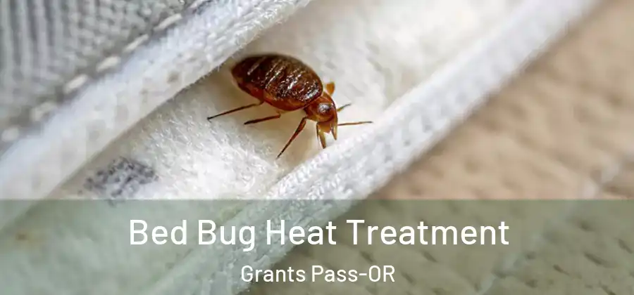 Bed Bug Heat Treatment Grants Pass-OR