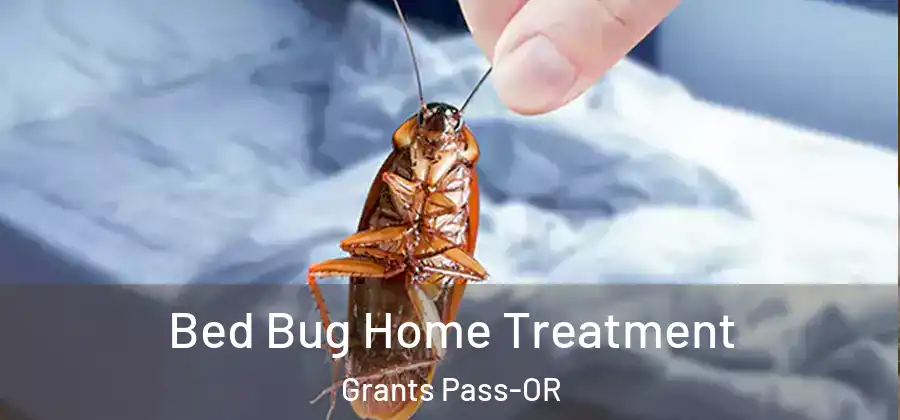  Bed Bug Home Treatment Grants Pass-OR