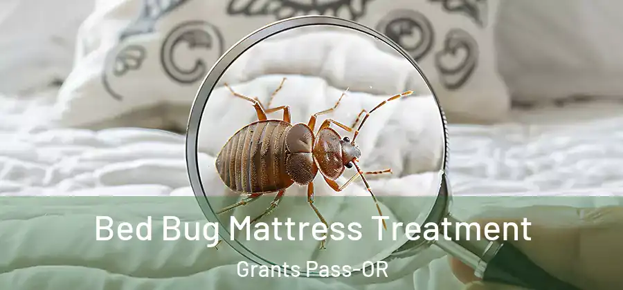 Bed Bug Mattress Treatment Grants Pass-OR
