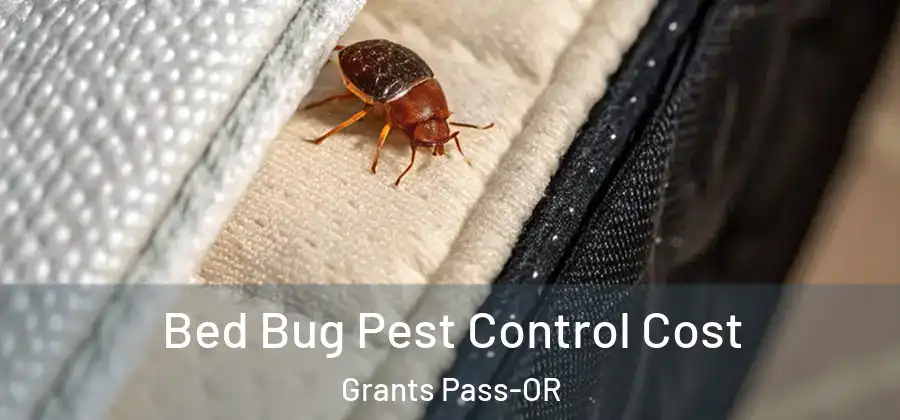  Bed Bug Pest Control Cost Grants Pass-OR