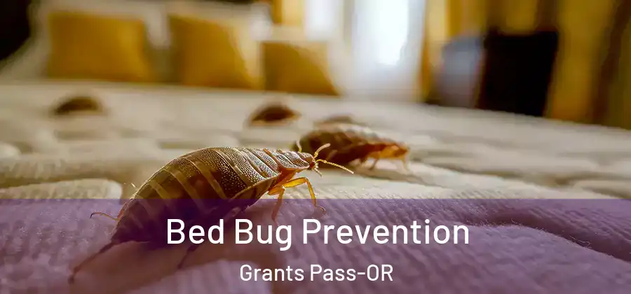 Bed Bug Prevention Grants Pass-OR