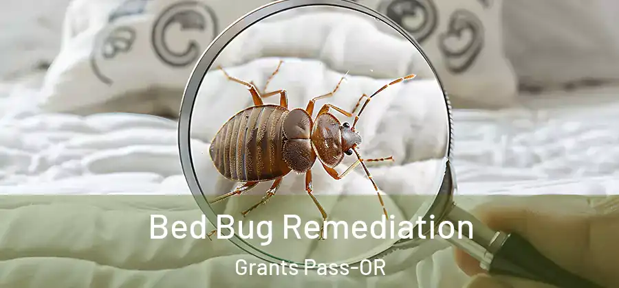  Bed Bug Remediation Grants Pass-OR