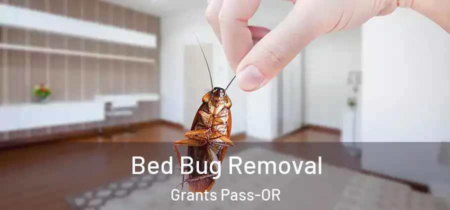 Bed Bug Removal Grants Pass-OR