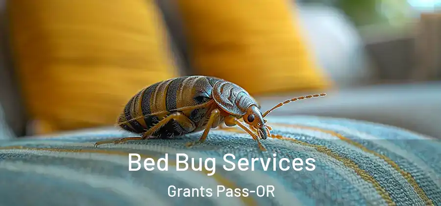  Bed Bug Services Grants Pass-OR