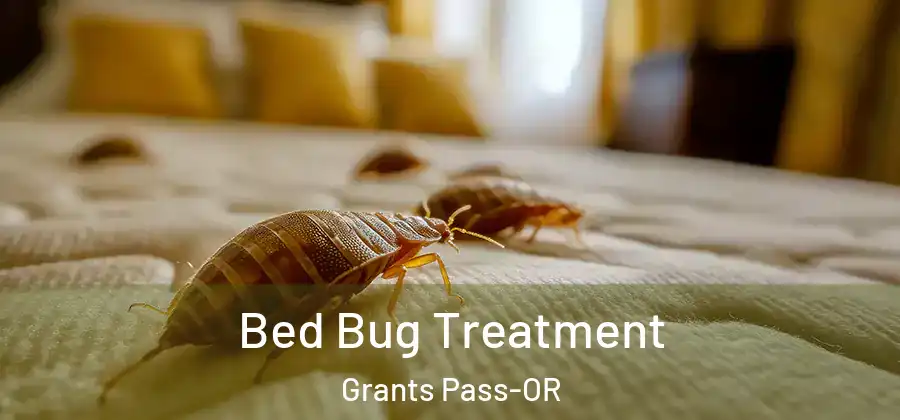  Bed Bug Treatment Grants Pass-OR