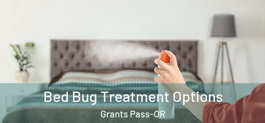 Bed Bug Treatment Options Grants Pass-OR