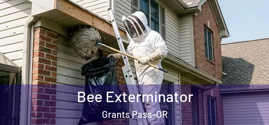 Bee Exterminator Grants Pass-OR