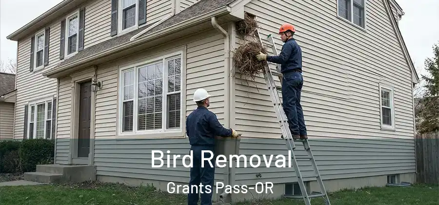  Bird Removal Grants Pass-OR