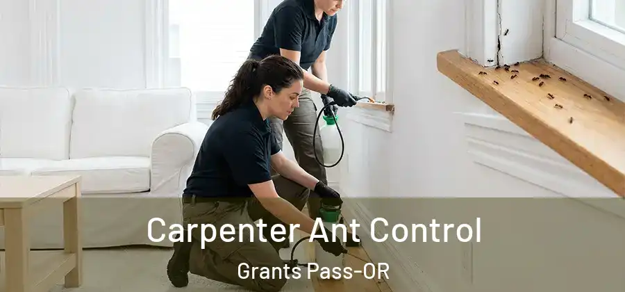 Carpenter Ant Control Grants Pass-OR