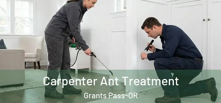 Carpenter Ant Treatment Grants Pass-OR