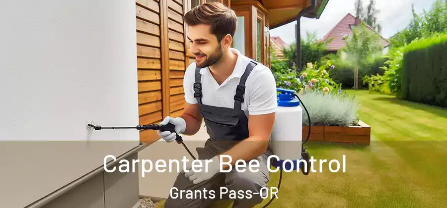 Carpenter Bee Control Grants Pass-OR