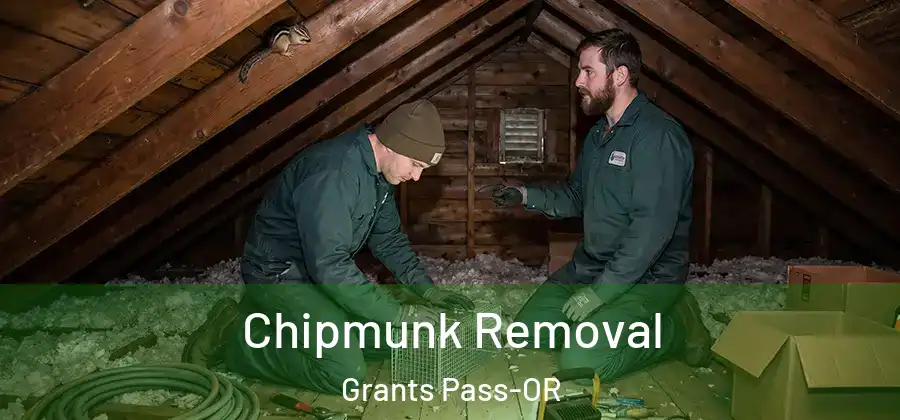Chipmunk Removal Grants Pass-OR