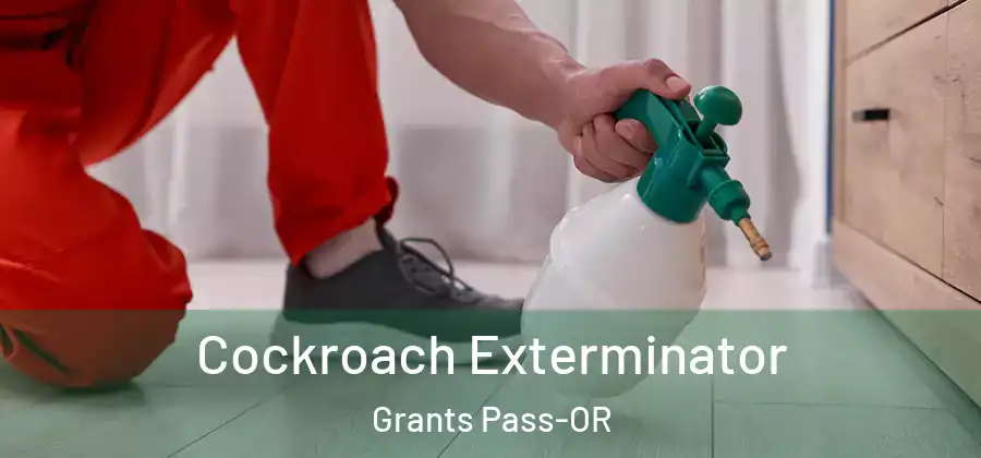 Cockroach Exterminator Grants Pass-OR