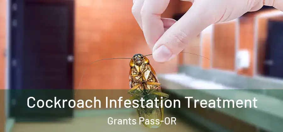  Cockroach Infestation Treatment Grants Pass-OR