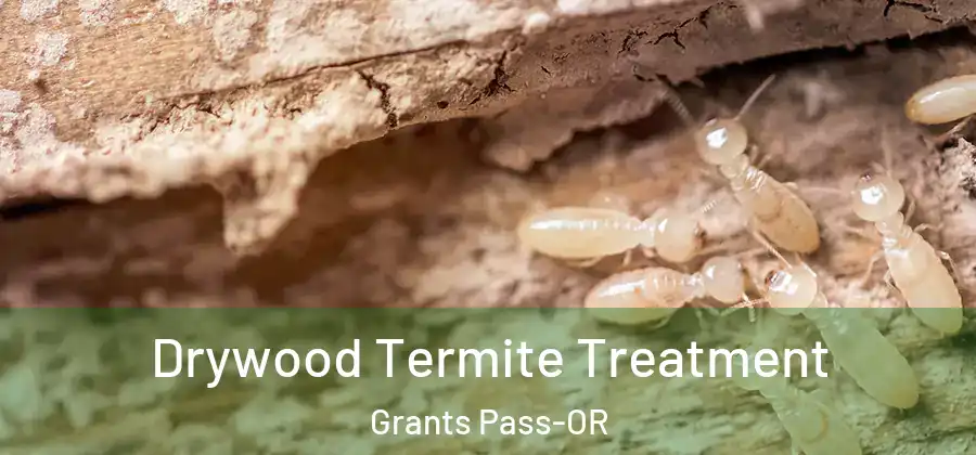 Drywood Termite Treatment Grants Pass-OR