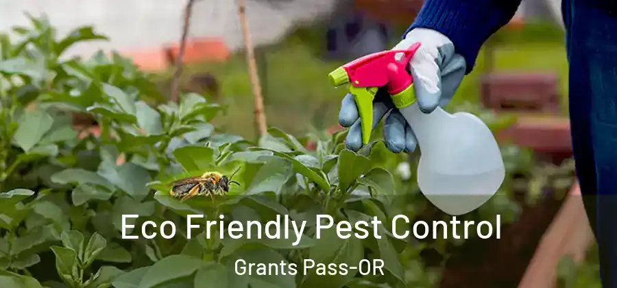 Eco Friendly Pest Control Grants Pass-OR