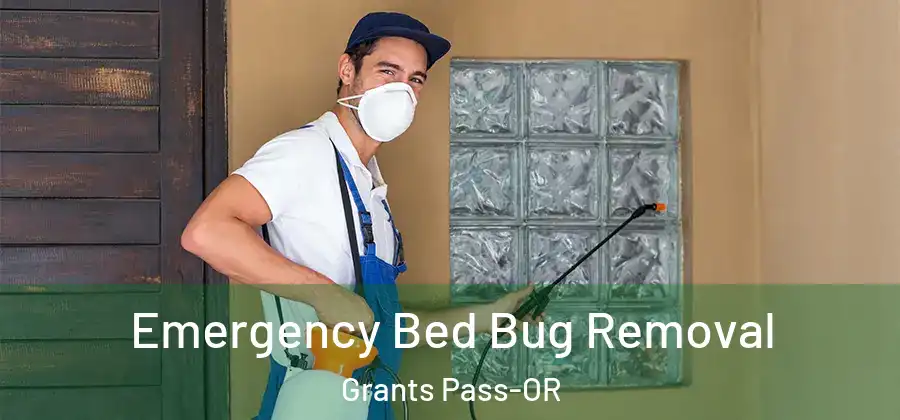 Emergency Bed Bug Removal Grants Pass-OR