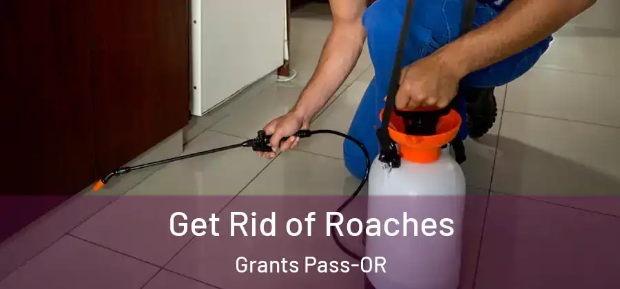  Get Rid of Roaches Grants Pass-OR
