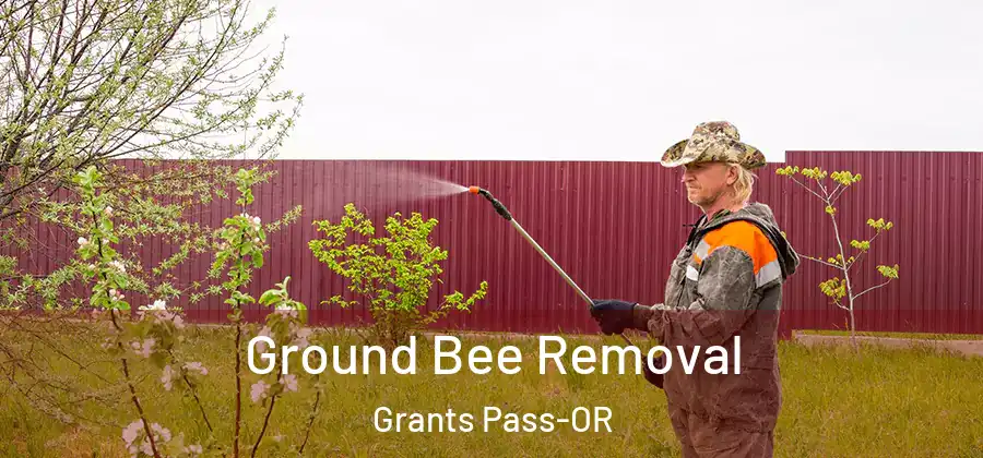  Ground Bee Removal Grants Pass-OR