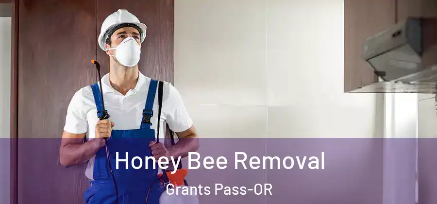 Honey Bee Removal Grants Pass-OR