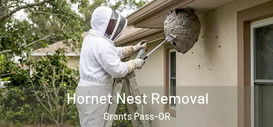  Hornet Nest Removal Grants Pass-OR