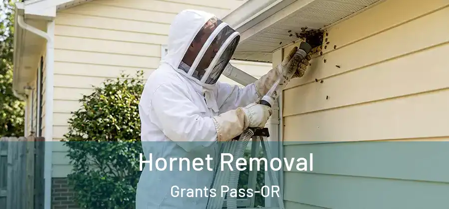 Hornet Removal Grants Pass-OR