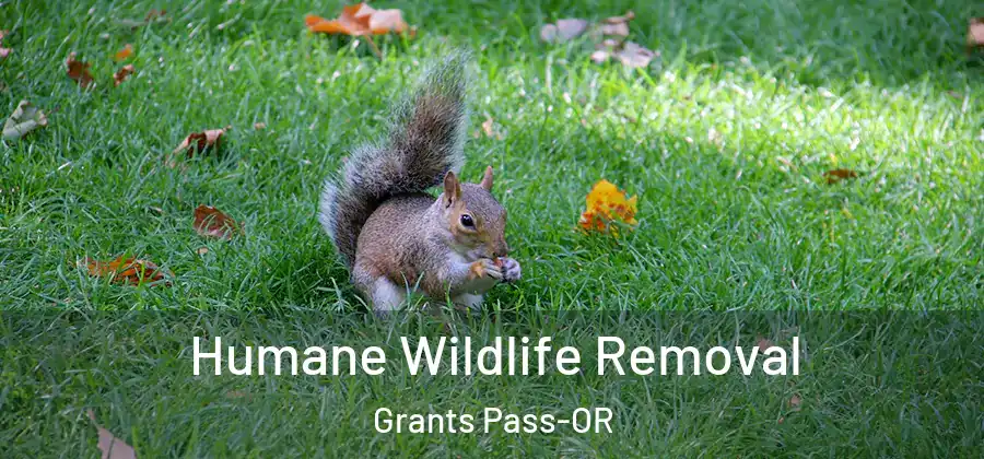  Humane Wildlife Removal Grants Pass-OR