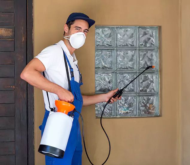 Your Reliable Pest Control in Grants Pass, OR