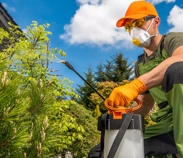 Your Best Bug Spray for Home Team in Grants Pass, OR
