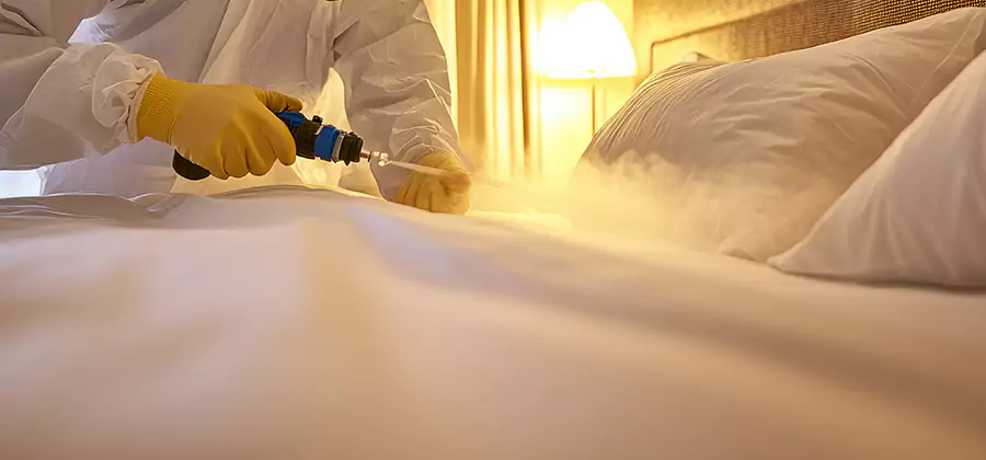 Bed Bug Steam Treatment Services in Grants Pass