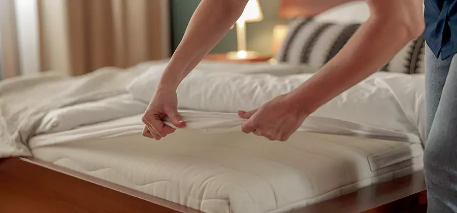 Bed Bug Extermination Services in Grants Pass