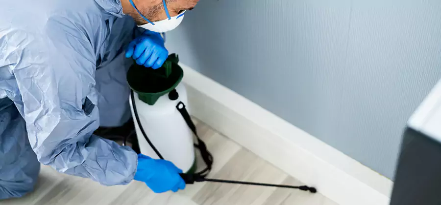 Fumigate Apartment Roaches in Grants Pass