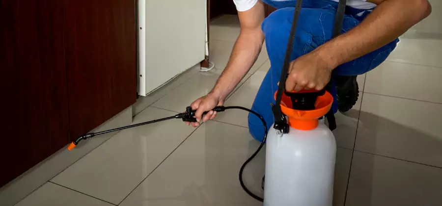 Indoor Mosquito Treatment in Grants Pass