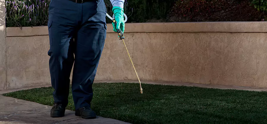 Soil Treatment for New Construction Termites in Grants Pass