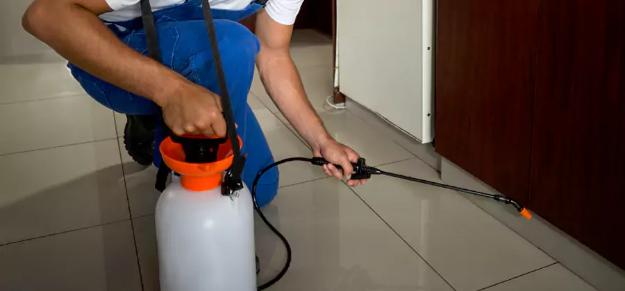 One Time Termite Control in Grants Pass