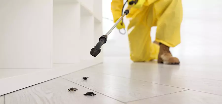 Roach and Bed Bug Exterminator in Grants Pass