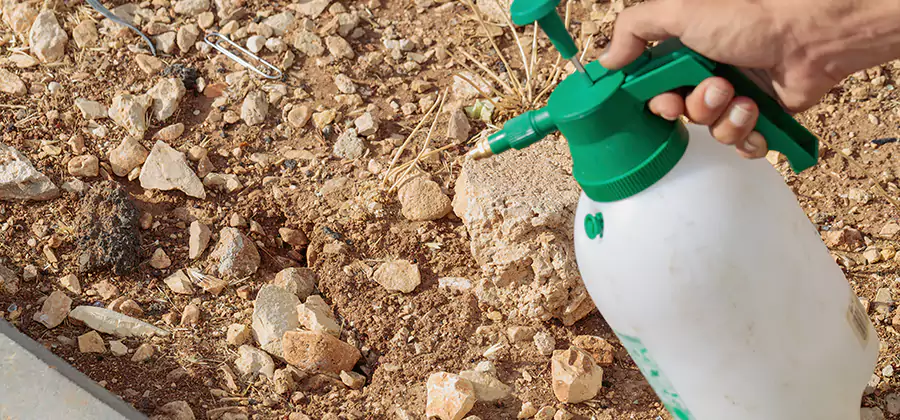 Heat Treatment Termite Cost in Grants Pass