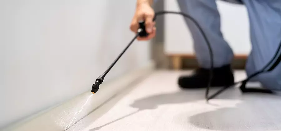 Direct Termite Injection Treatment in Grants Pass